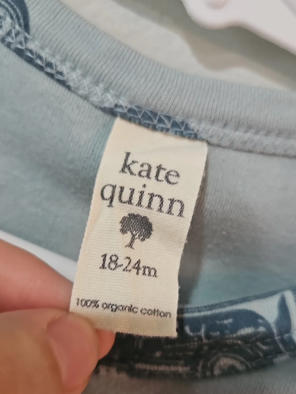 kate quinn cute kate